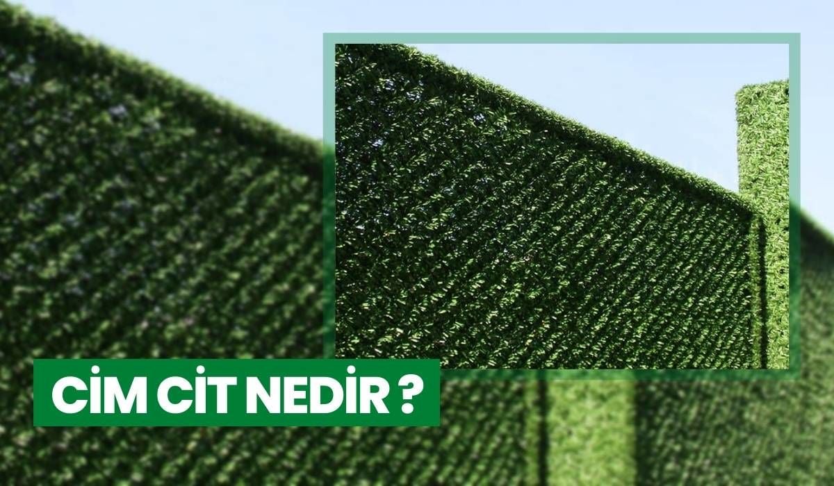 Çim çit nedir?