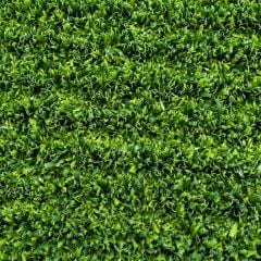 Non-Infill Grass